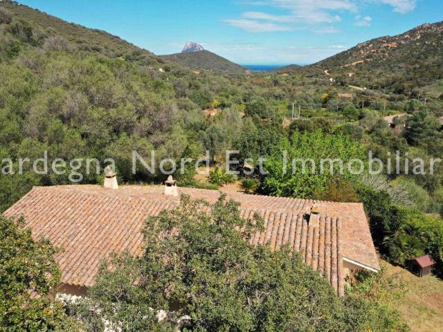Villa in vendita a Loiri Porto San Paolo SS