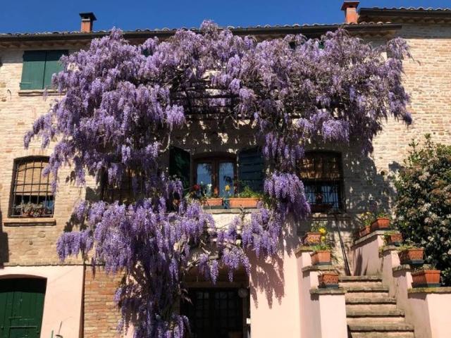 Villa in vendita a Longiano FC