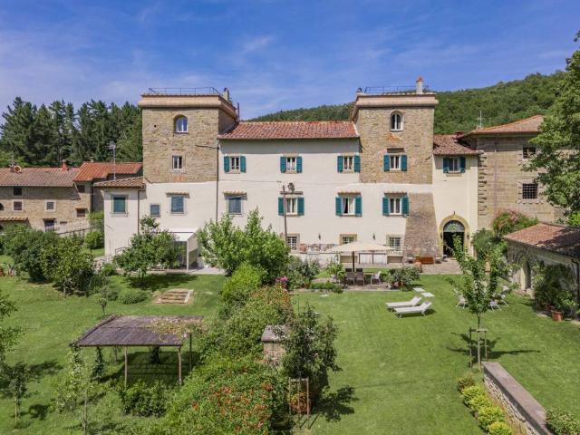 Villa in vendita a Londa FI