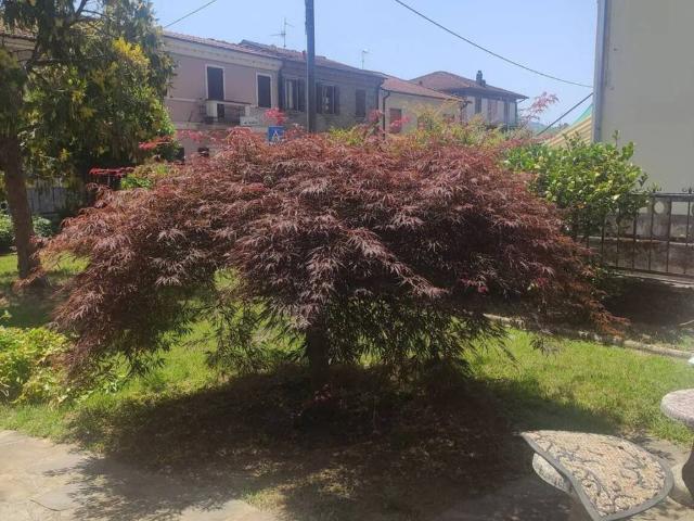 Villa in vendita a Licciana Nardi MS