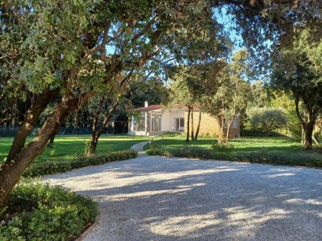 Villa in vendita a Motrone Pietrasanta 535 mq Rif: 1409219