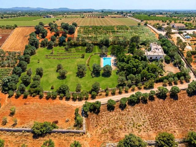 Villa in vendita a Mola di Bari BA