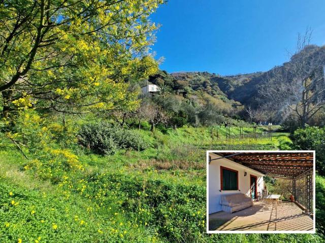 Villa in vendita a Monforte San Giorgio ME