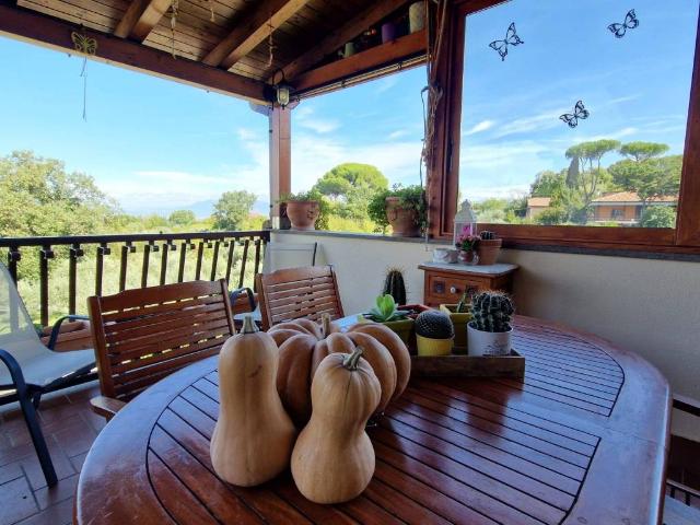 Villa in vendita a Monte Porzio Catone RM