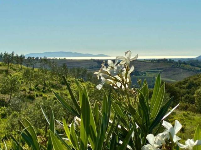 Villa in vendita a Magliano in Toscana GR