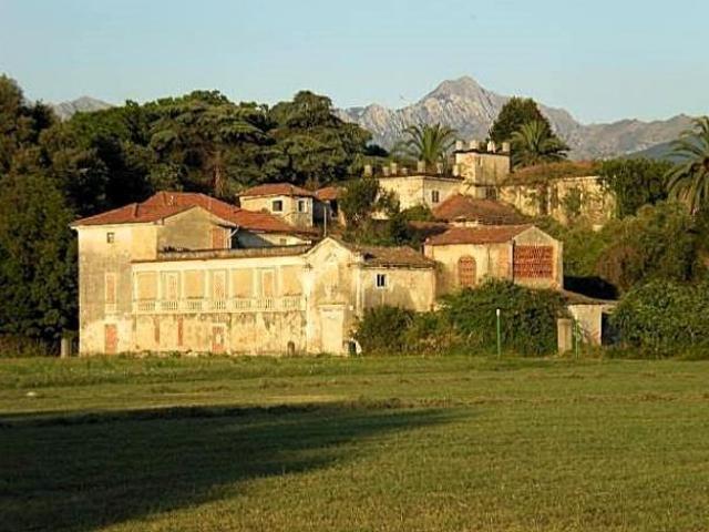 Villa in vendita a Marina di Carrara Carrara 2300 mq Rif: 1421110