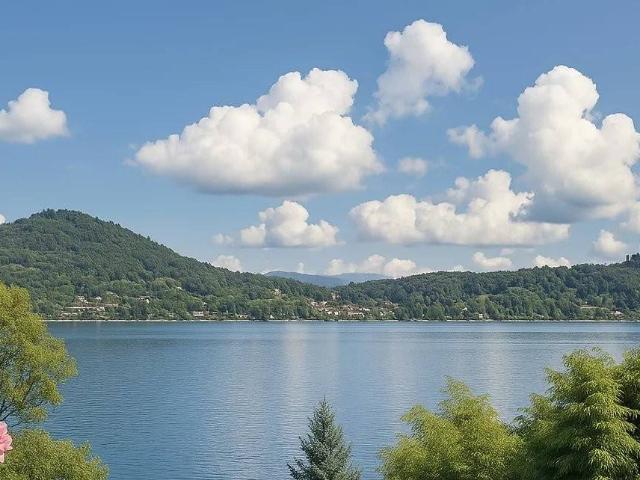 Villa in vendita a Meina NO