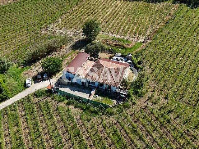Villa in vendita a Miglianico