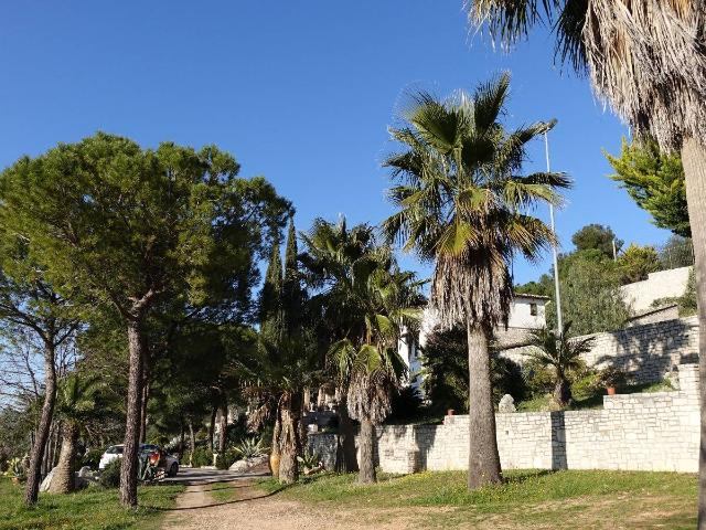 Villa in vendita a Minervino Murge