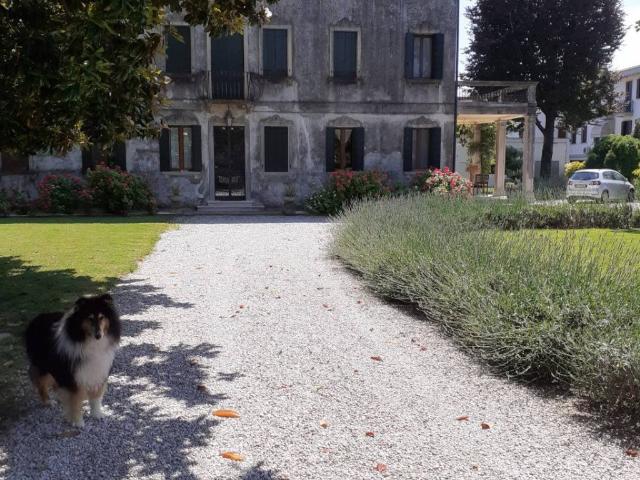 Villa in vendita a Mira VE