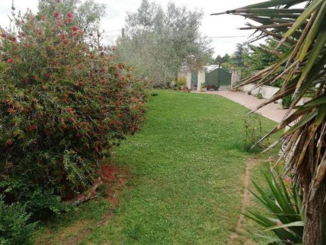Villa in vendita a Nettuno RM