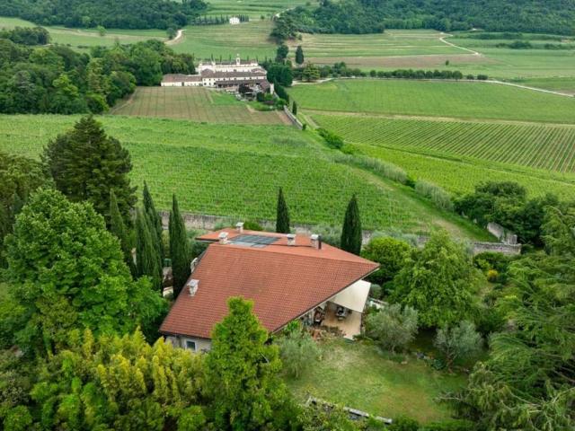 Villa in vendita a Negrar di Valpolicella VR
