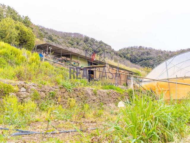 Villa in vendita a Nemi RM
