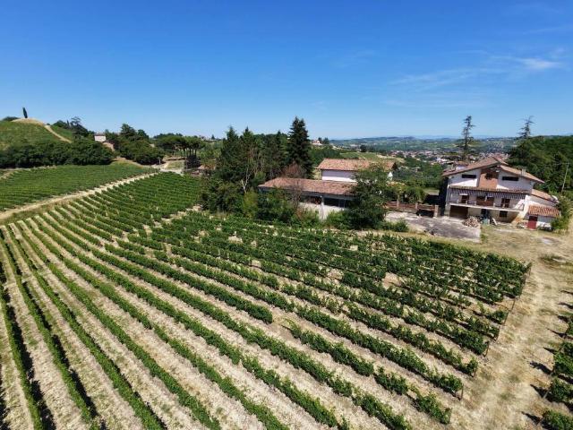 Villa in vendita a Nizza Monferrato AT