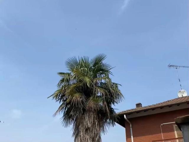 Villa in vendita a Nibbiola NO