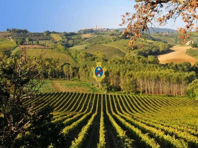 Villa in vendita a San Gimignano SI