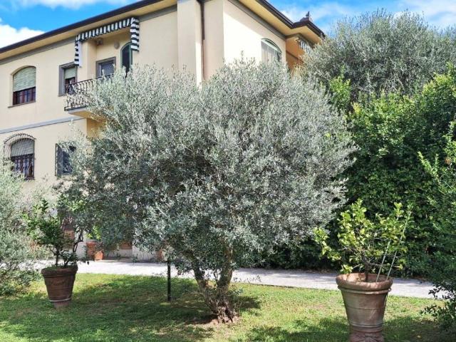 Villa in vendita a San Giuliano Terme PI