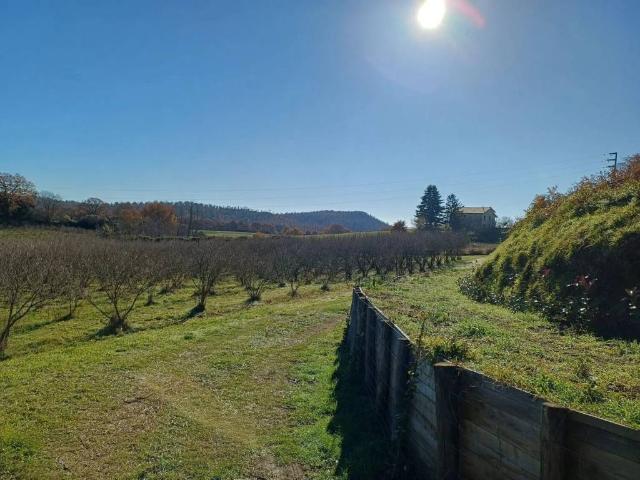 Villa in vendita a San Lorenzo Nuovo VT