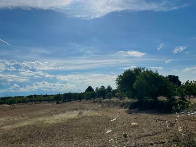 Villa in vendita a Sannicandro di Bari BA