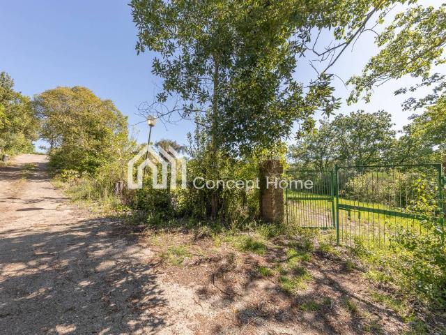 Villa in vendita a Sant'Oreste RM