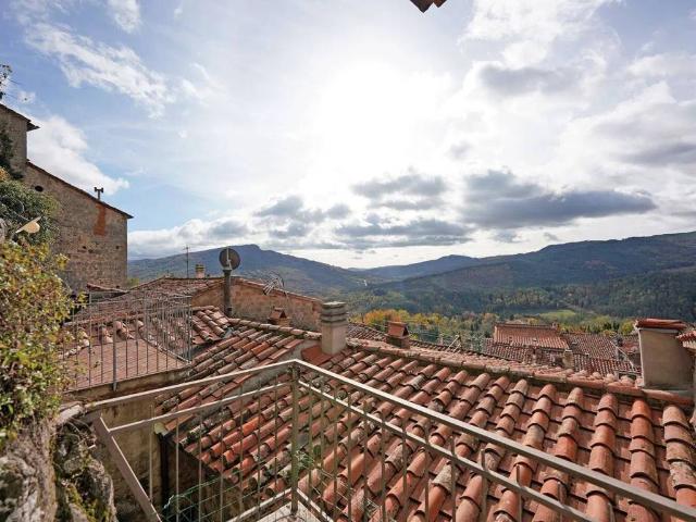 Villa in vendita a Santa Fiora GR