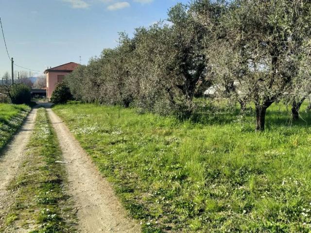 Villa in vendita a Sarzana SP