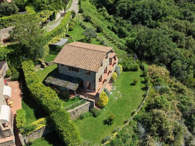 Villa in vendita a Scansano GR