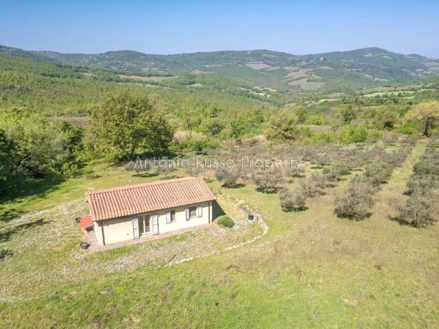Villa in vendita a Scansano GR