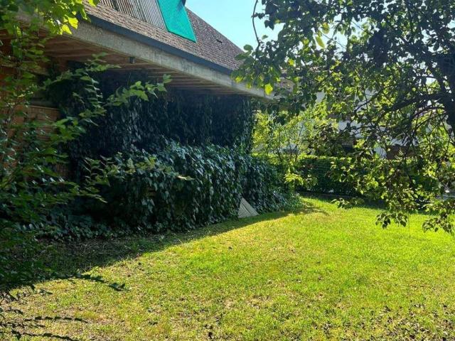 Villa in vendita a Suzzara MN
