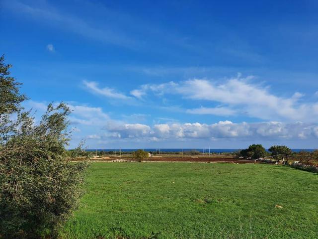 Villa in vendita a Polignano a Mare BA