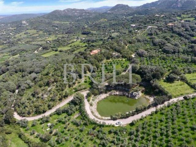 Villa in vendita a Palau OT