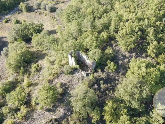 Villa in vendita a Orvieto TR