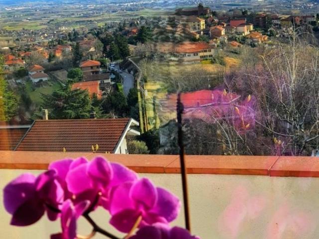 Villa in vendita a Pecetto Torinese TO
