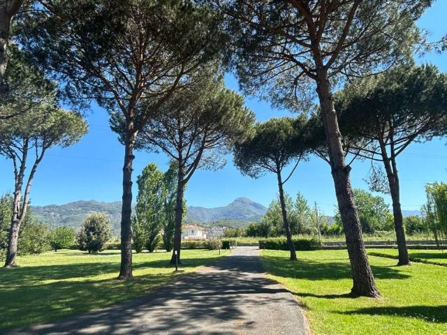 Villa in vendita a Pietrasanta LU