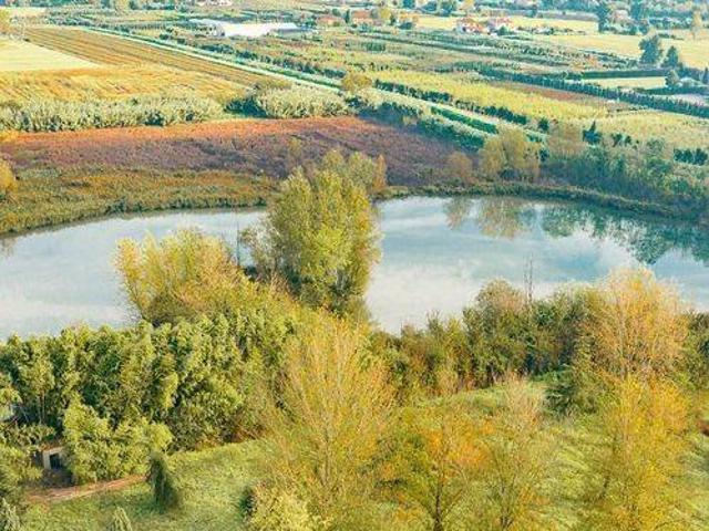 Villa in vendita a Prato PO