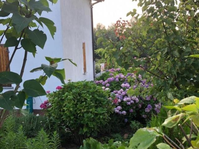 Villa in vendita a Priero