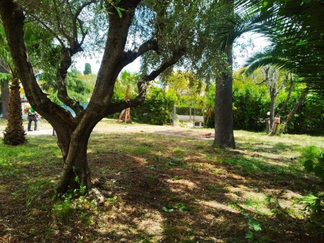 Villa in vendita a Roma RM