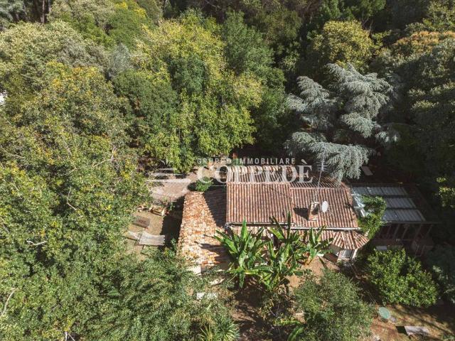 Villa in vendita a Roma RM