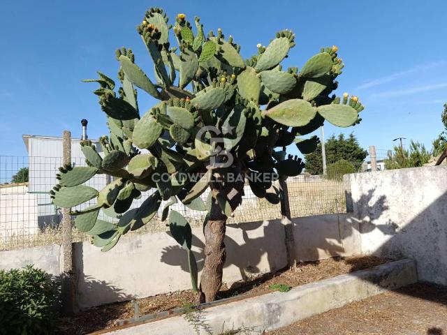 Villa in vendita a Ragusa RG