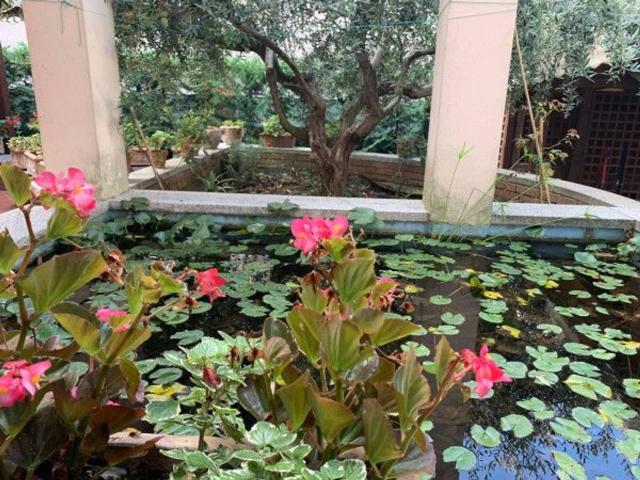 Villa in vendita a Riccione