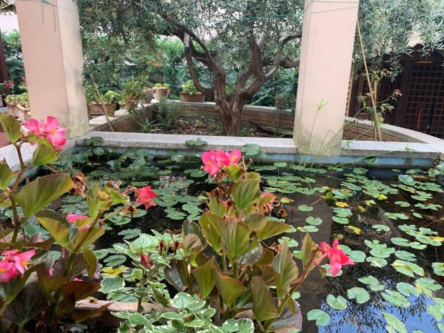Villa in vendita a Riccione RN