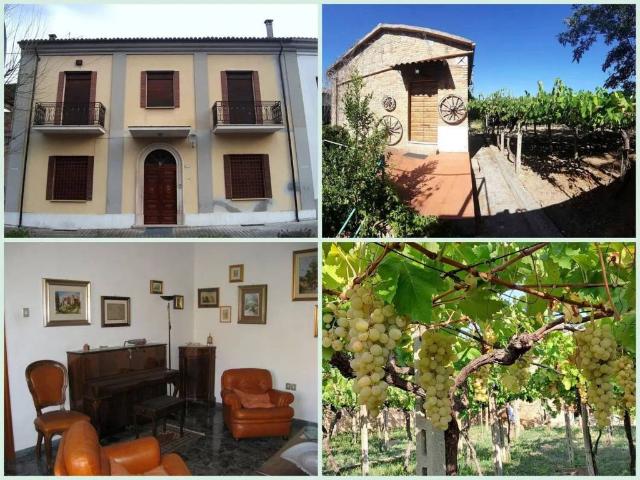 Villa in vendita a Torre de' Passeri PE
