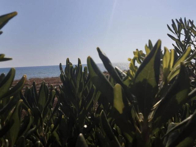 Villa in vendita a Tarquinia VT