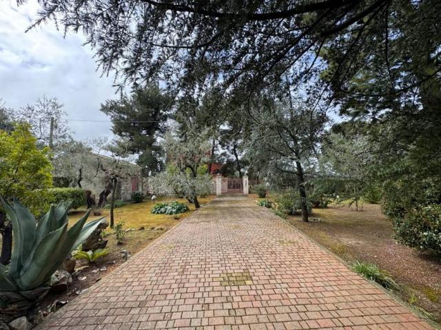 Villa in vendita a Terlizzi BA