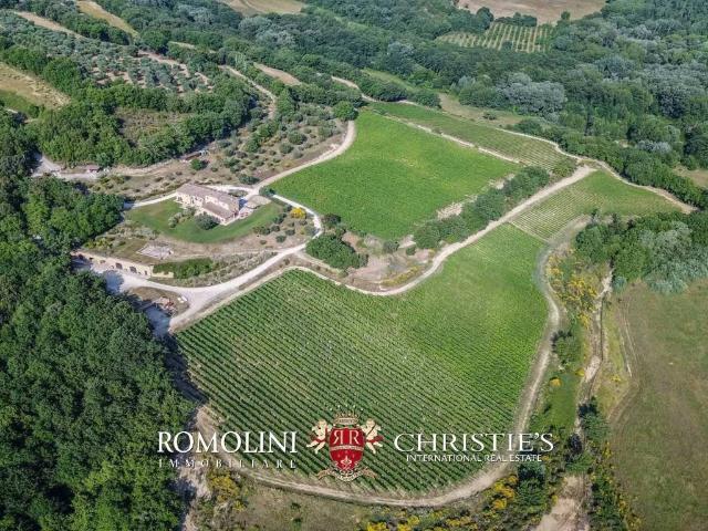 Villa in vendita a Trequanda SI