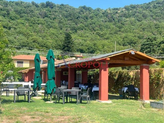 Villa in vendita a Trevignano Romano RM