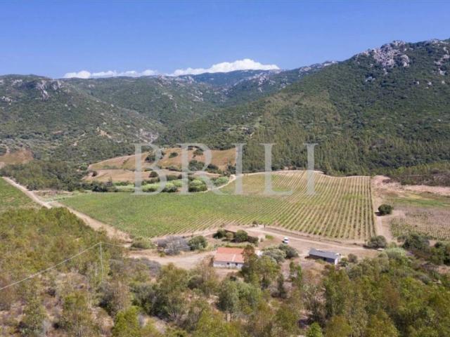 Villa in vendita a Trinità d'Agultu e Vignola SS