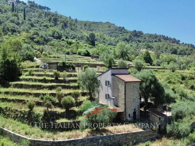 Villa in vendita a Vallebona IM