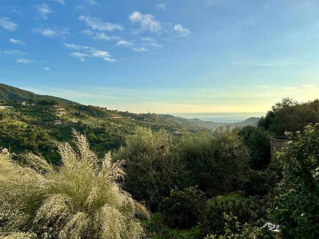 Villa in vendita a Vallebona IM
