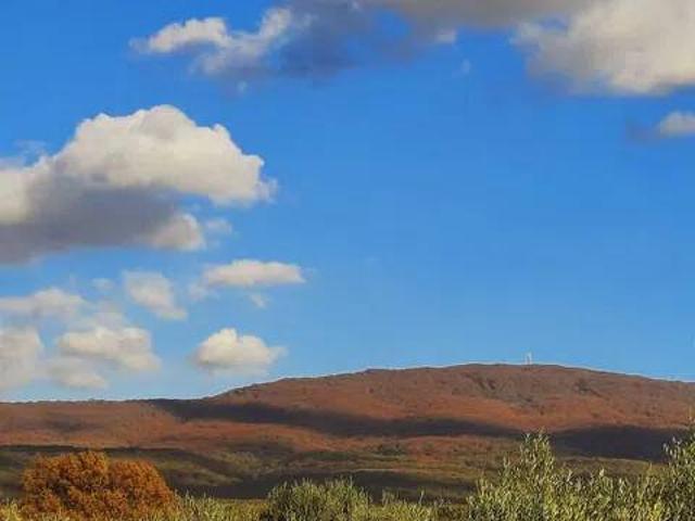 Villa in vendita a Vetralla VT